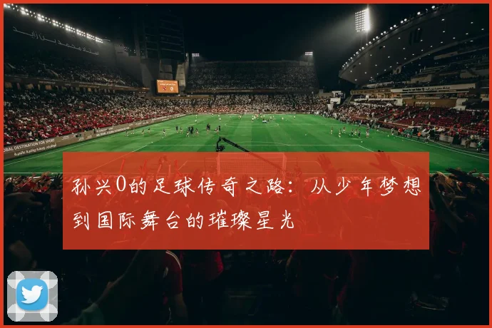 孙兴O的足球传奇之路：从少年梦想到国际舞台的璀璨星光